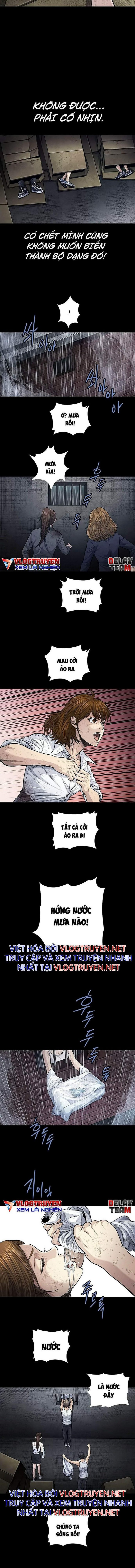 Đọc truyện Hive - Thảm họa ong độc - Chap 252